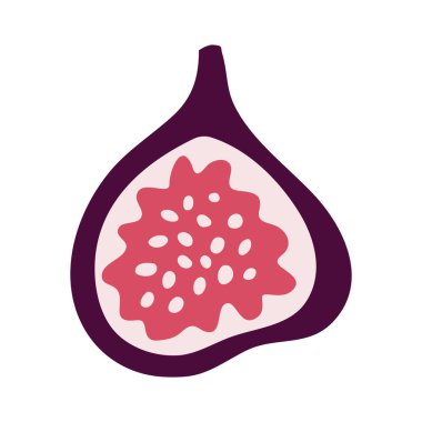 İncir vektör çizimi. İncirlerin yarısı, çizgi film tarzında tohumlar. Beyaz arkaplanda izole.