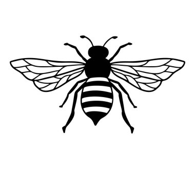 Vector Bee çizgi simgesi çizimi. Böceklerin grafiksel logosu, basit karalama amblemi. El yapımı bal arısı beyaz arka planda izole edilmiş. Kraliçe sembolü tasarımı. Minimalist böcek kara sanat.