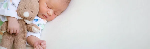 Newborn Baby Sleeps Embrace Soft Toy — Stockfoto