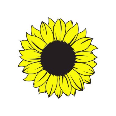 Ayçiçeği vektör illüstrasyonu. El çizimi vektör.