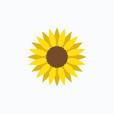 Düz biçim vektöründe ayçiçeği izole edildi