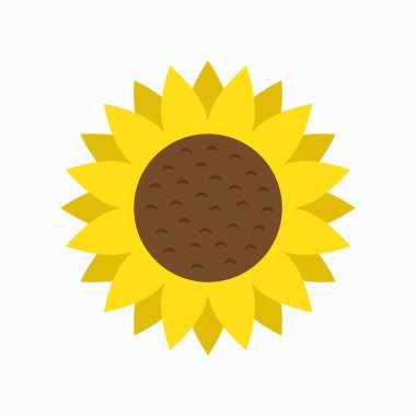 Düz biçim vektöründe ayçiçeği izole edildi