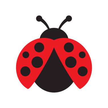 Uğur böceği ya da uğur böceği vektör grafik çizimi, izole edilmiş. Siyah ve kırmızı dişi böceğin şirin düz tasarımı..