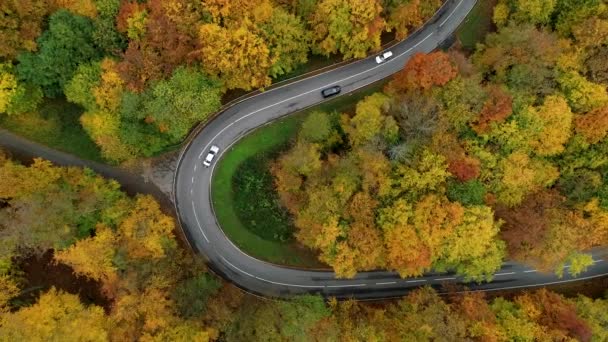 Vista Aérea Carretera Rural Través Del Bosque Otoñal — Vídeos de Stock