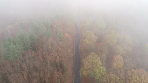 Mlha Nad Pohořím Taunus Auto Jede Cestě Lesem — Stock video