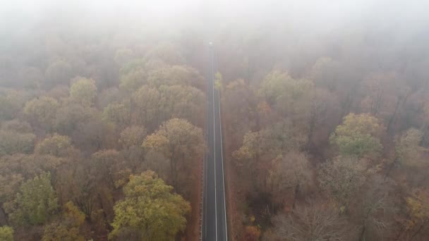 Taunus山の上の霧 車は森を通って道路を運転しています — ストック動画