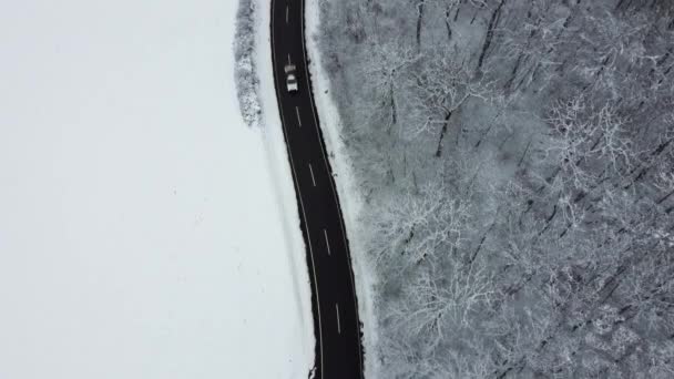 雪に覆われた森林を介して道路 撮影追跡 航空ビュー — ストック動画