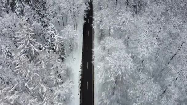 雪に覆われた森林を介して道路 撮影追跡 航空ビュー — ストック動画