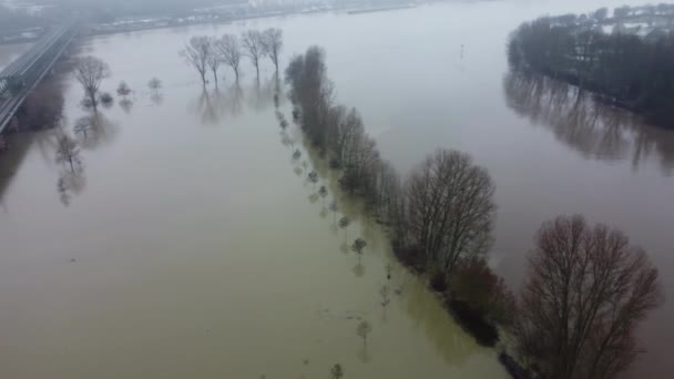 大雨の後 ドイツのライン川とメイン川で洪水の川の銀行 航空ビュー — ストック動画