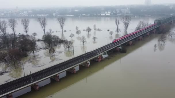 Πλημμυρισμένες Όχθες Ποταμών Στον Ποταμό Ρήνο Και Τον Κεντρικό Ποταμό — Αρχείο Βίντεο