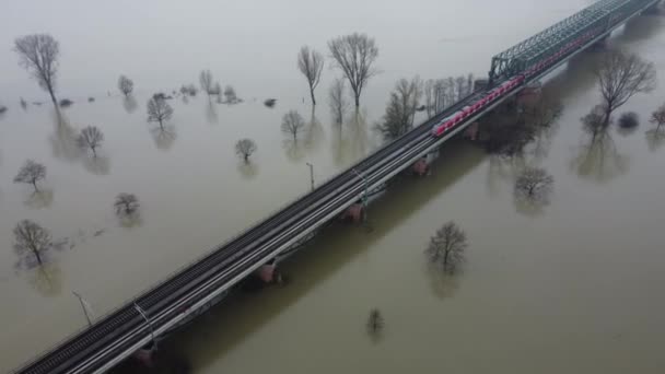 Overstroomde Oevers Van Rijn Main Duitsland Zware Regenval Vanuit Lucht — Stockvideo