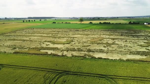 Разрушения Сельскохозяйственных Полях После Сильной Грозы Вид Воздуха — стоковое видео