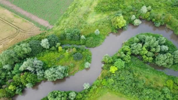 Renaturierung Eines Kleinen Flusses Luftaufnahme — Stockvideo