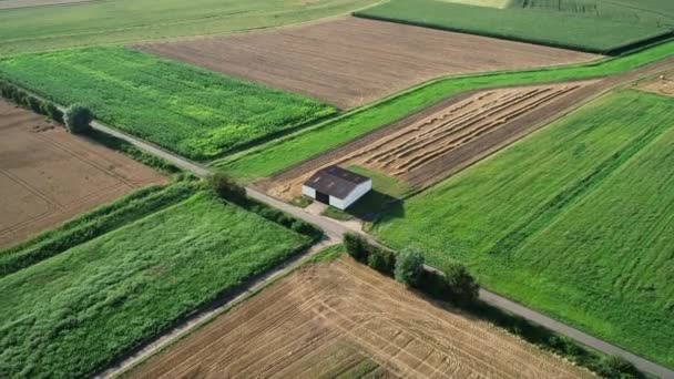 Landbouwvelden Geoogste Velden Luchtfoto Tracking Shot — Stockvideo