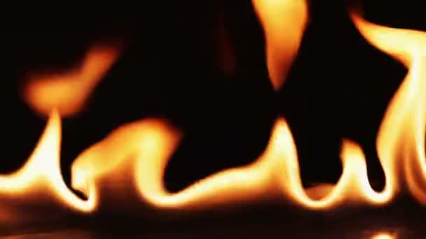 Flammande eld — Stockvideo