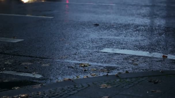 Asfalto húmedo, coches y reflejos de luz — Vídeo de stock