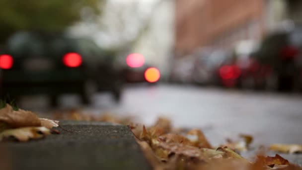 Bladeren op de straat - herfst stedelijke scène, verkeer en auto 's — Stockvideo