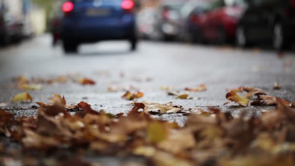 Las hojas en la calle - escena urbana otoñal, el tráfico y los coches — Vídeos de Stock