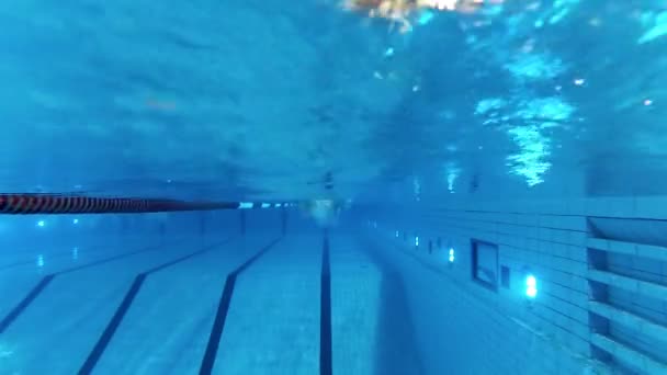 Závodní potápění — Stock video