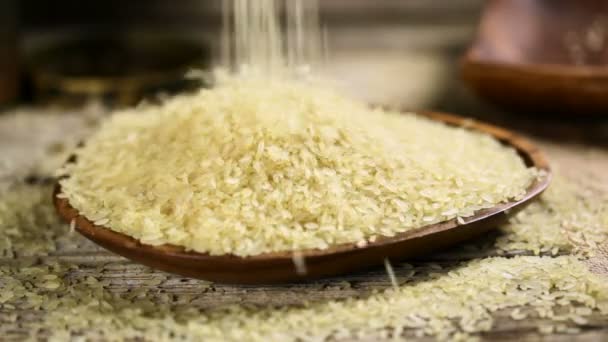 Rice grains — Stock Video