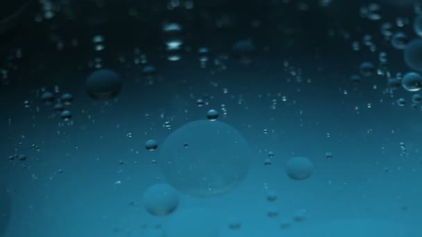 Close-up of floating oil drops — Stock Video