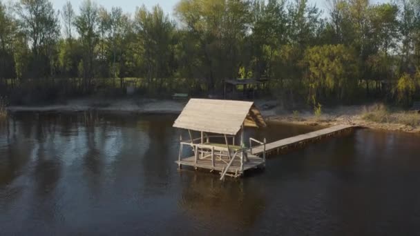 Droge Gele Riet Groene Bomen Heldere Blauwe Lucht Heldere Zon — Stockvideo