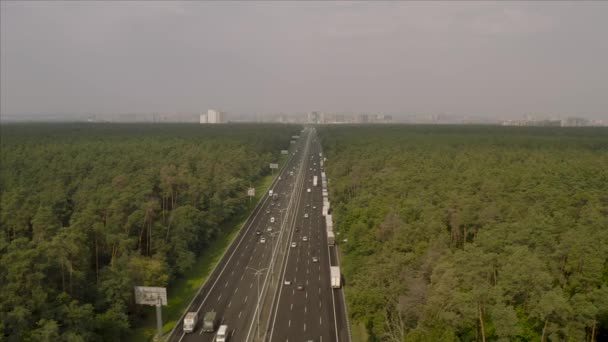 从鸟瞰的角度来看基辅附近的Boryspil高速公路 草丛穿过茂密的绿林 基辅市就在眼前 — 图库视频影像