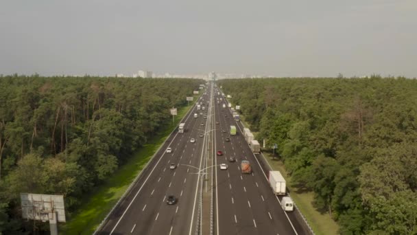 从鸟瞰的角度来看基辅附近的Boryspil高速公路 草丛穿过茂密的绿林 基辅市就在眼前 — 图库视频影像