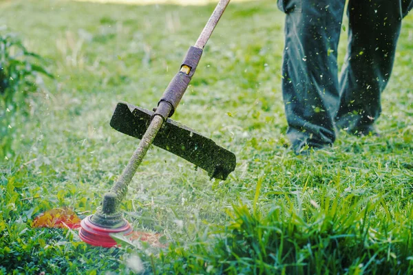 Close String Trimmer Head Weed Cutter Petrol Electric Brushcutter Working — Stock Photo, Image