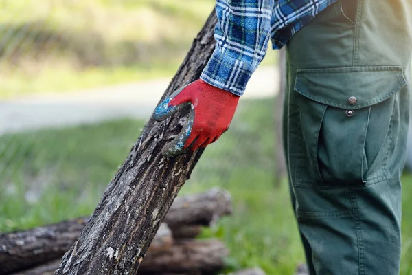 Närbild Mittsektionen Okänd Man Bär Skyddande Arbetshandskar Hålla Stock Träd — Stockfoto