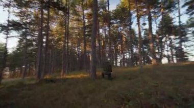 Askerin etrafındaki yörüngede, taktik üniforma giymiş, güneşli bir günde ormanda bir ağacın arkasına saklanan silahına nişan almış askeri eğitim almış ya da hava savunma pozisyonunda duran bir asker.