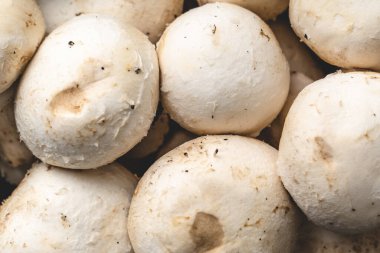 Üst çerçeve Agaricus şekerlemelerine yakın çekim - çiğ organik taze yiyecek - sağlıklı beslenme kavramı