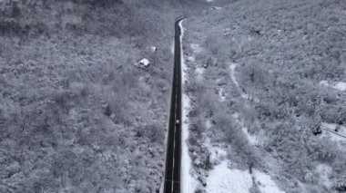 Soğuk kış günü asfalt yol üzerindeki orman ağaçları üzerindeki hava aracı görüntüsü, Sırbistan 'ın Tresibaba Dağı' ndaki otomobili takip ederek atış seyahati ve özgürlük kavramını oluşturdu.