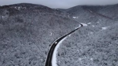 Soğuk kış günü asfalt yol üzerindeki orman ağaçları üzerindeki hava aracı görüntüsü, Sırbistan 'ın Tresibaba Dağı' ndaki kamyonu izleyerek çekim seyahati ve ulaşım kavramını oluşturdu.