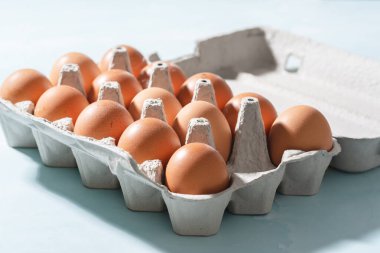 Karton kutudaki taze organik tavuk yumurtalarının ön yüzünü kapatın.