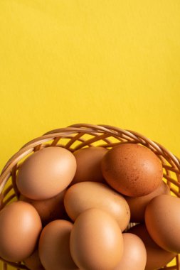 Sarı arka plandaki sepette taze organik yumurtalar.