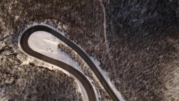 세르비아의 크나제 근처에서 겨울에는 내리는 지대의 나무와 가로지르는 구불구불 항공기의 — 비디오