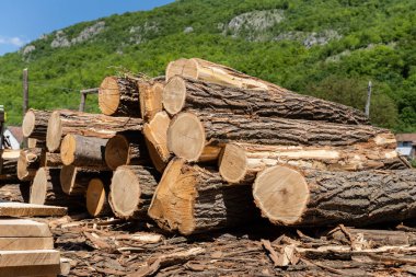 Kereste fabrikasındaki büyük odun yığını işleme hazır.