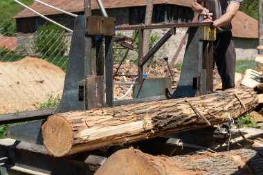 kereste fabrikasındaki hareket halindeki kereste platformuna kereste ve kereste kesmeye hazır kereste fabrikası keresteleri koyuyoruz.