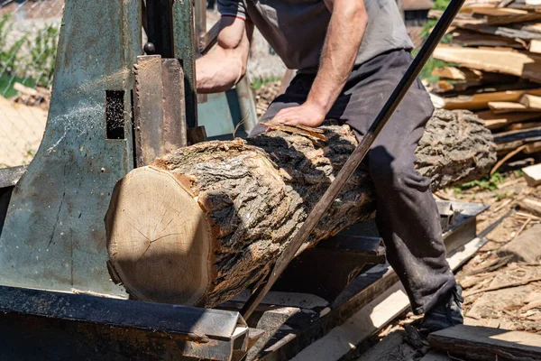 Colocando Log Plataforma Movimento Serraria Pronto Para Cortar Tábuas Serraria — Fotografia de Stock