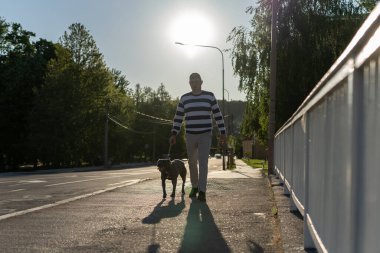 Köpeğini gezdiren adam, akşamları Amerikan pitbull teriyeri ile kasabada, köprüde güneşe karşı yürüyor.