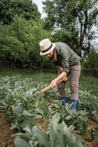 Framsidan Unga Kaukasiska Kvinna Kvinnliga Jordbrukare Som Arbetar Inom Jordbruket — Stockfoto