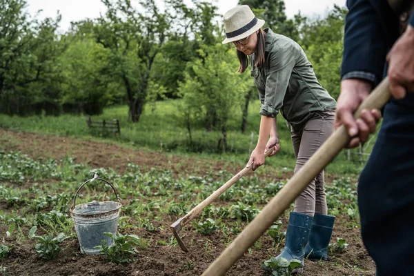 Sidovy Unga Kaukasiska Kvinna Kvinnliga Jordbrukare Som Arbetar Inom Jordbruket — Stockfoto