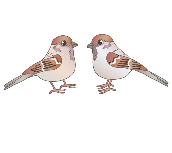 Dva mužské vrabci — Stockový vektor