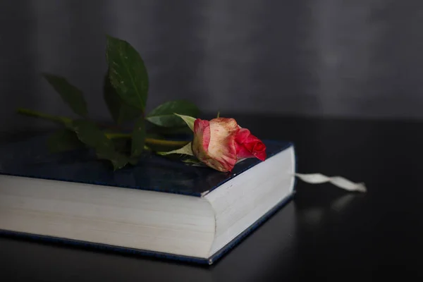 Close up of red rose on the book on the black desk at home. Copy space for design or text and blurred background