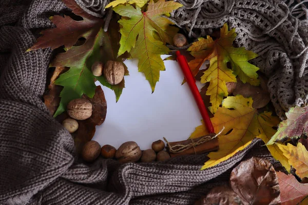 Autumn frame with white copy space for design or text and a red pen. Frame with yellow fallen leaves, scarf, and walnut