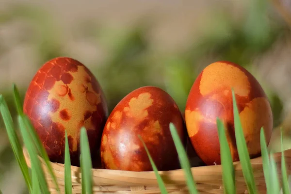 Geschilderde Paaseieren Houten Manden Gras Achtergrond Eieren Zijn Geverfd Met — Stockfoto