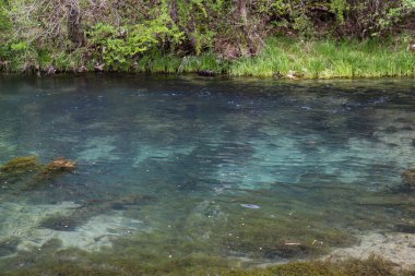 Ormanda güneşli bir yaz gününde Sırbistan 'ın Krupajsko Gölü' ndeki suyun turkuaz rengi. Ulusal güzellik ve doğa kavramı