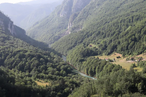 Tara River Canyon Montenegro July 2021 View Djurdjevica Tara Bridge — Stock Photo, Image