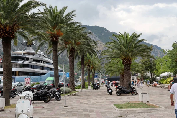 Kotor Monténégro Juillet 2021 Promenade Avec Les Touristes Dans Port — Photo